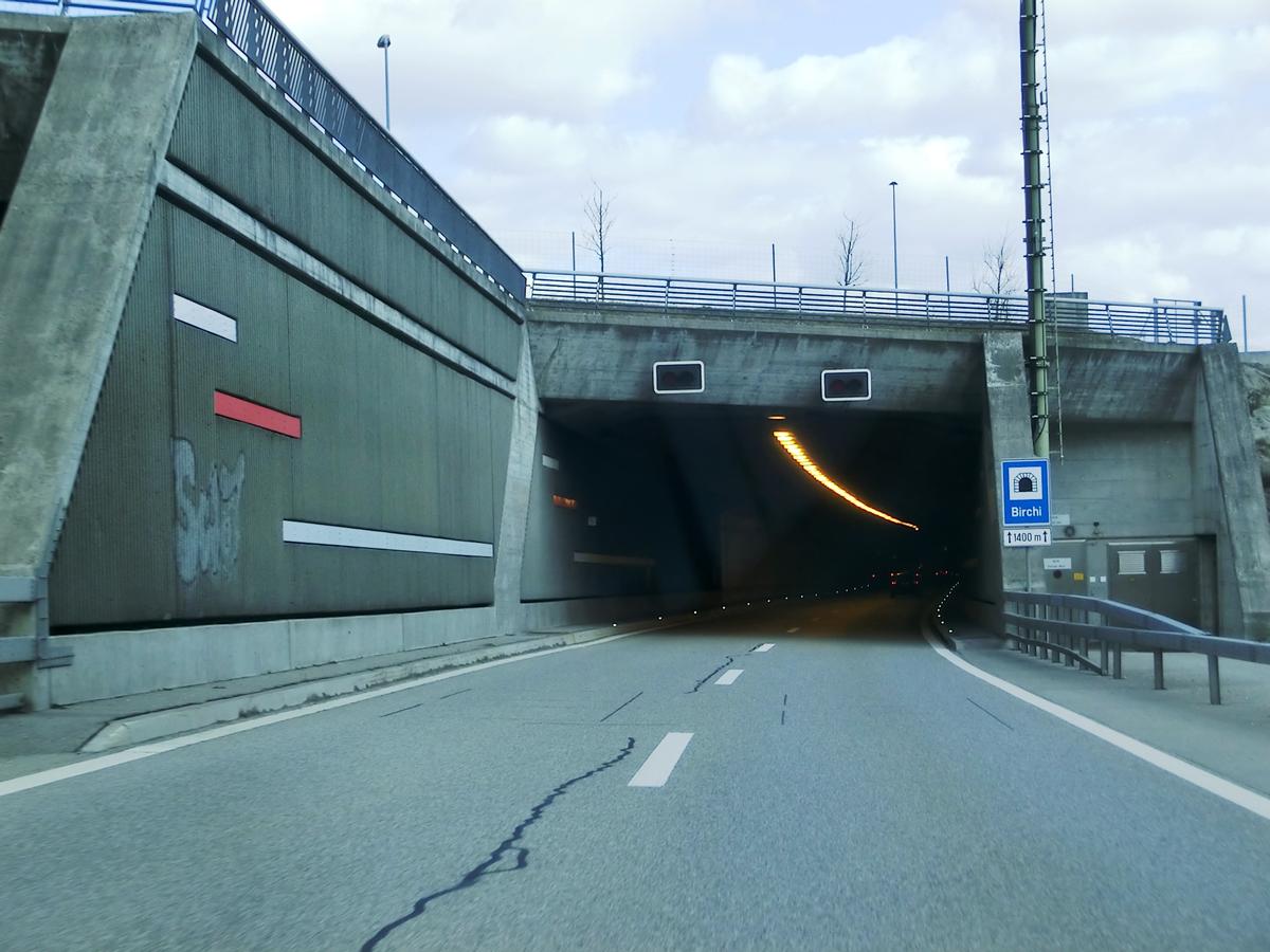 Birchi Tunnel western portals 