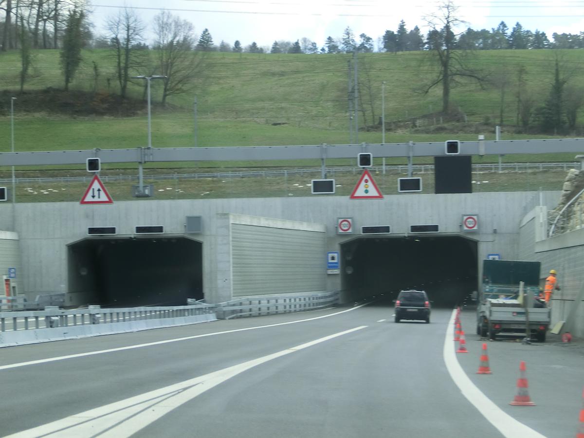 Büttenbergtunnel 