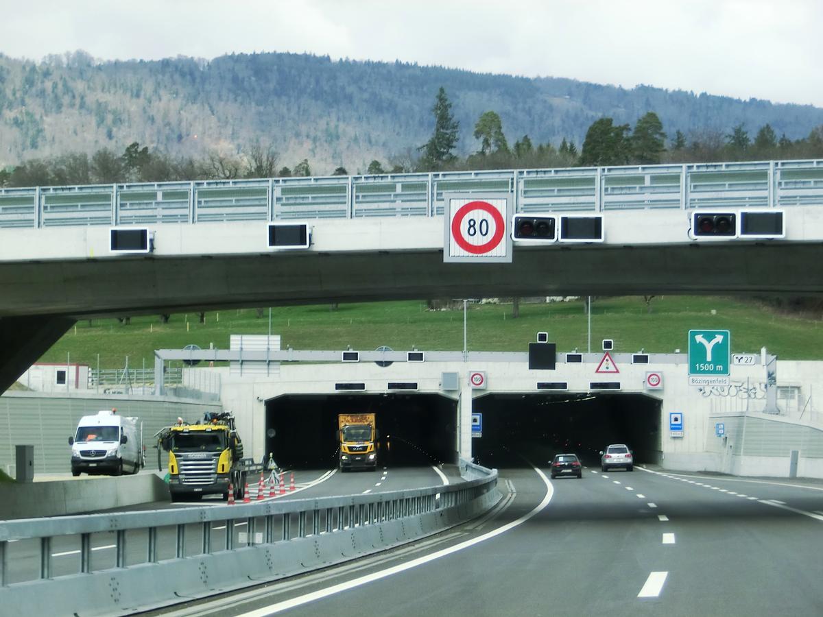 Büttenberg Tunnel southern portals 