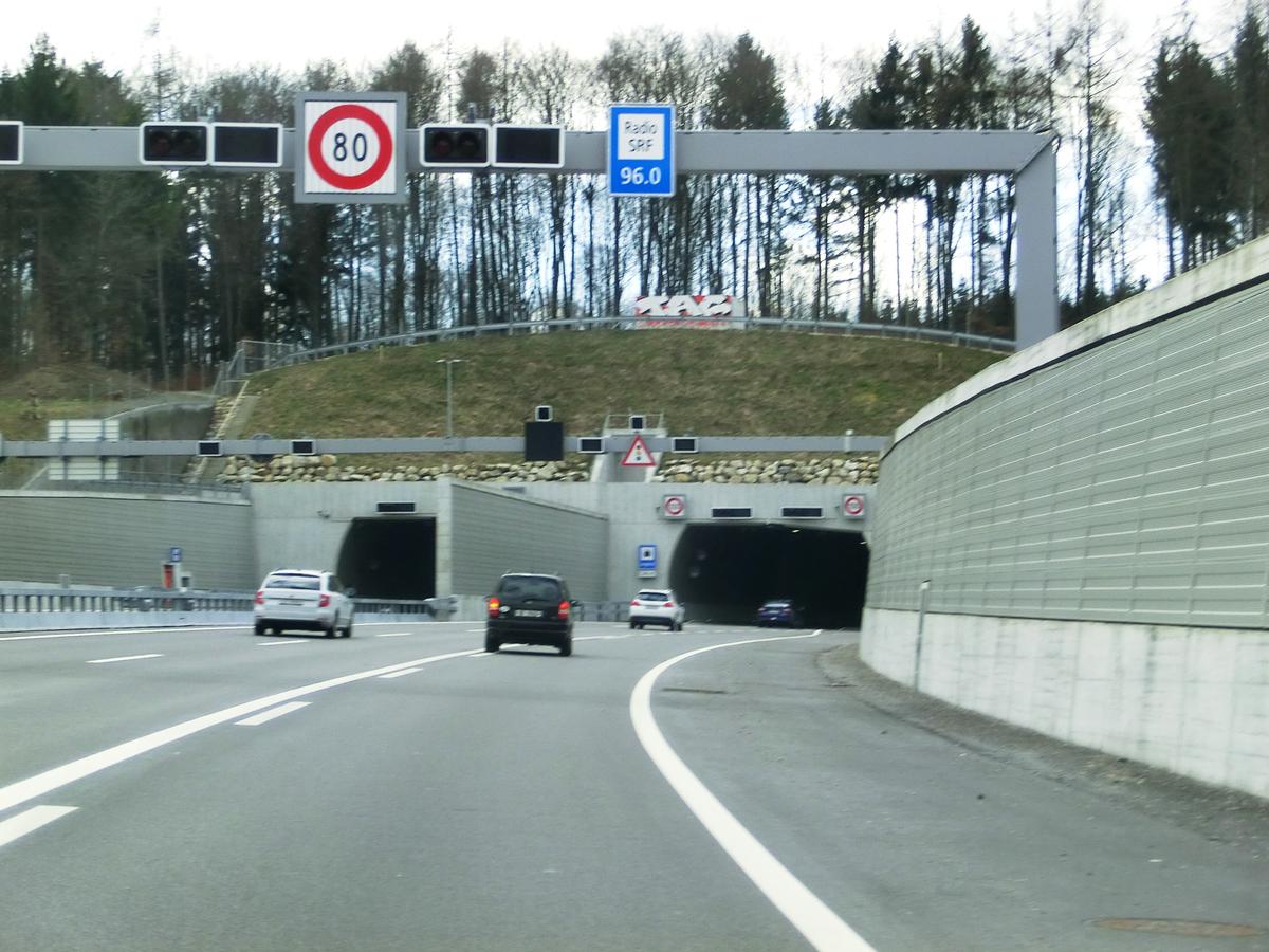 Langholz Tunnel northern portals 