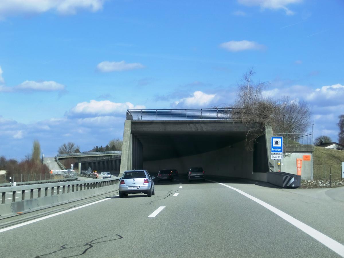 Leuzigen Tunnel western portal 