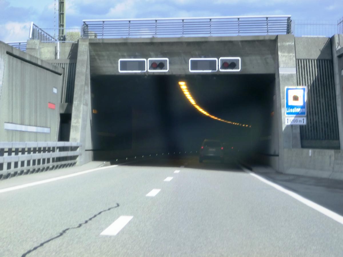 Lusslingen Tunnel western portal 