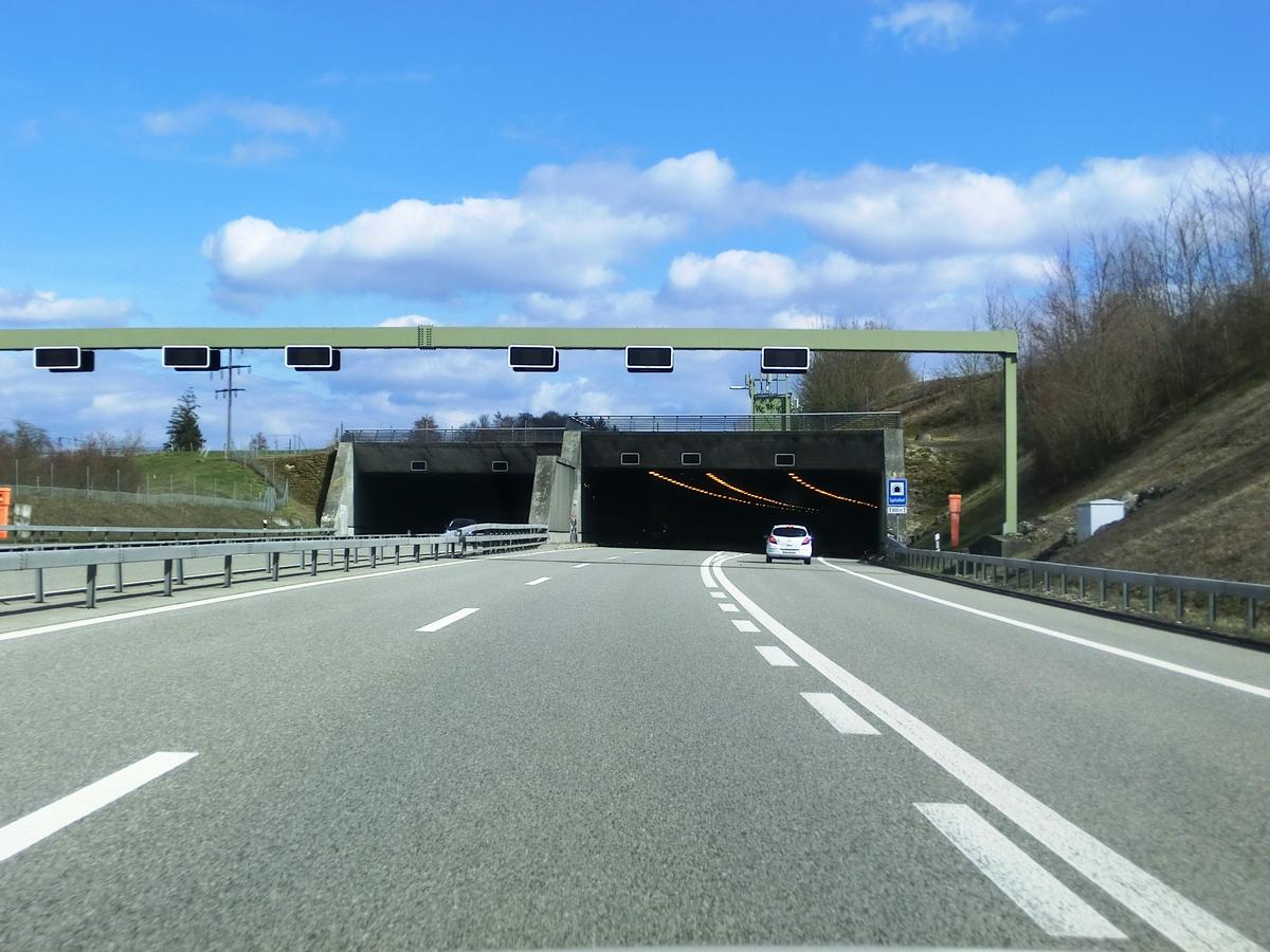 Spitalhof Tunnel western portals 