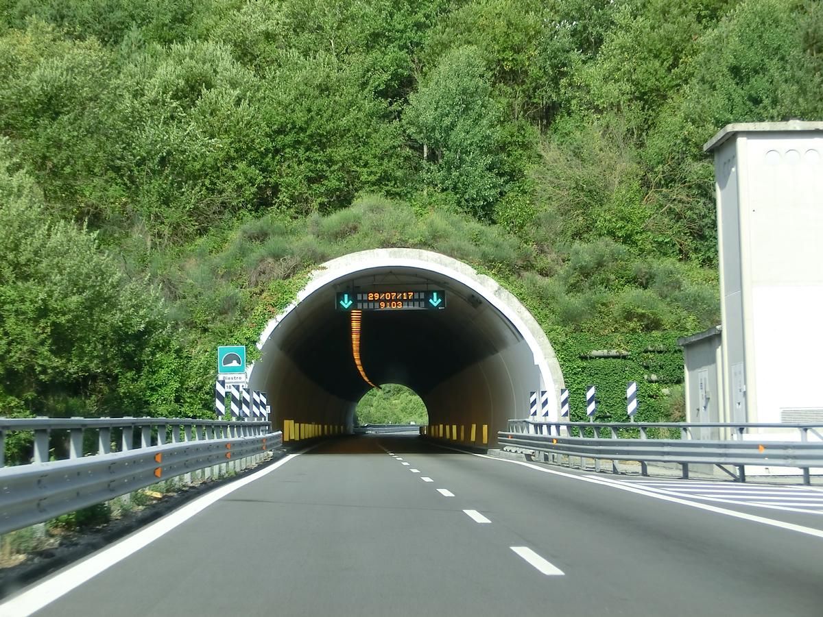 Biestro Tunnel eastern portal 