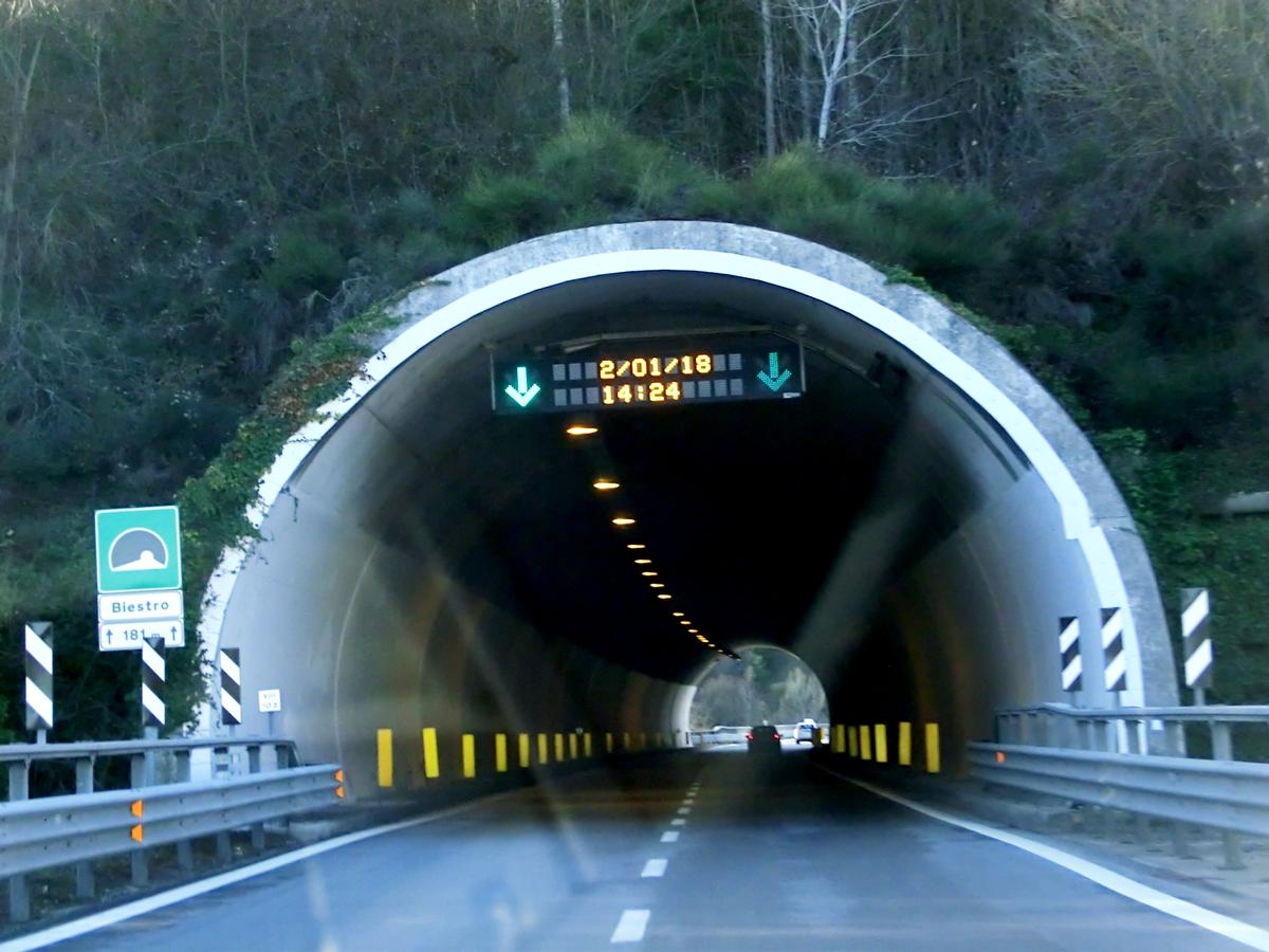Tunnel de Biestro 
