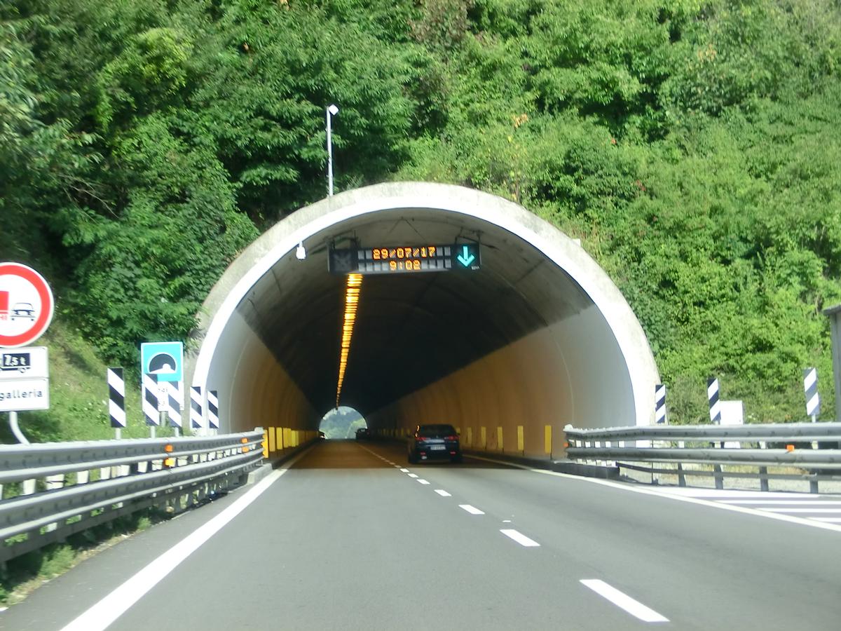 Tunnel Bogile 