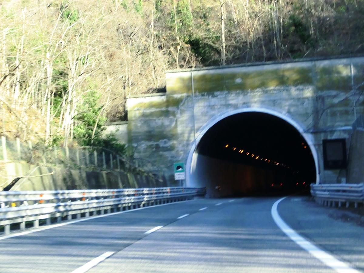 Cadibona Tunnel southern portal 