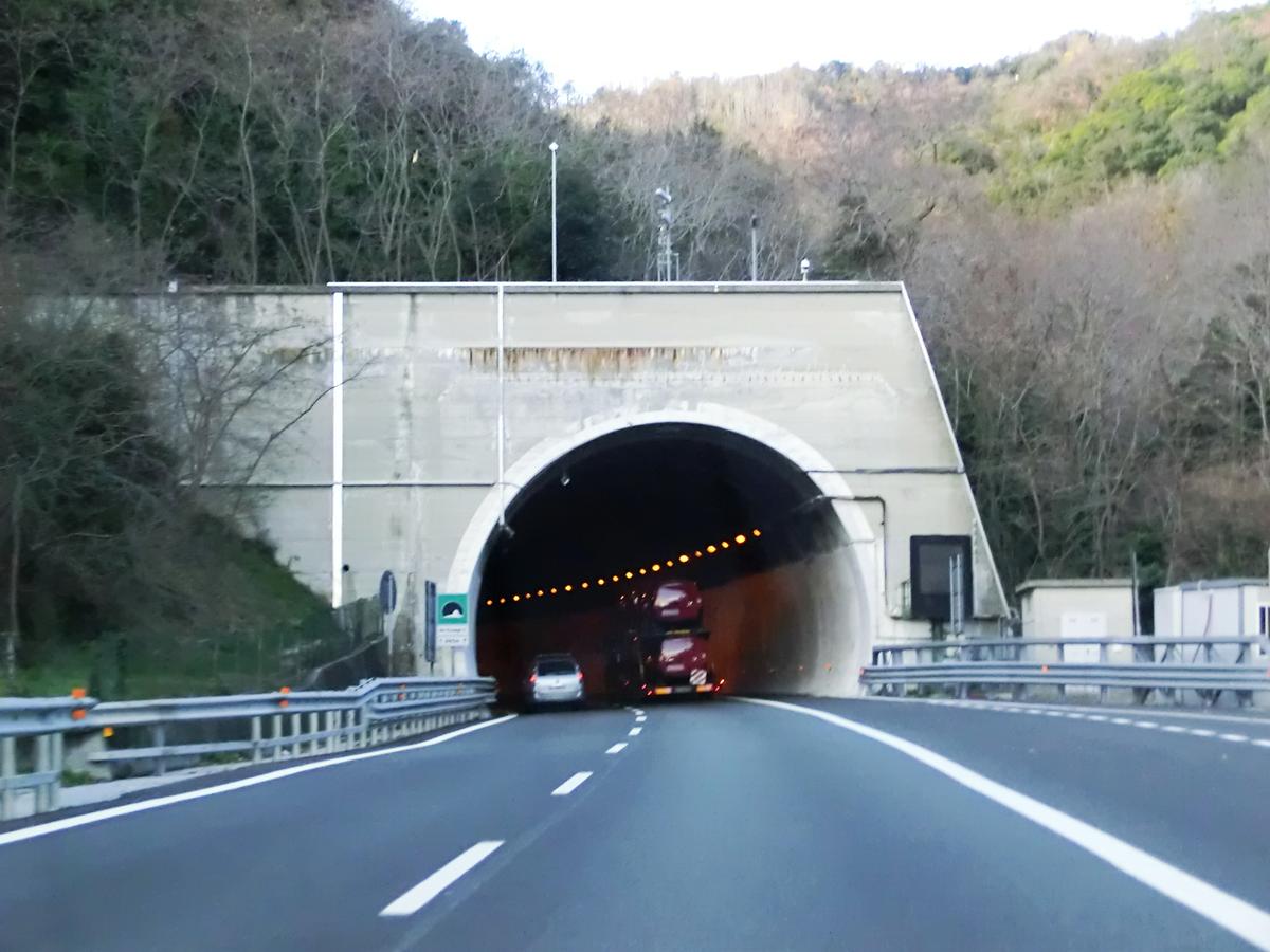 Passeggi II Tunnel southern portal 