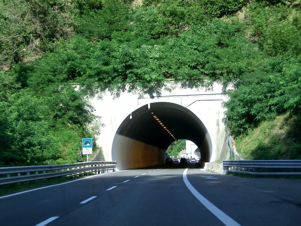Fo Tunnel western portal 