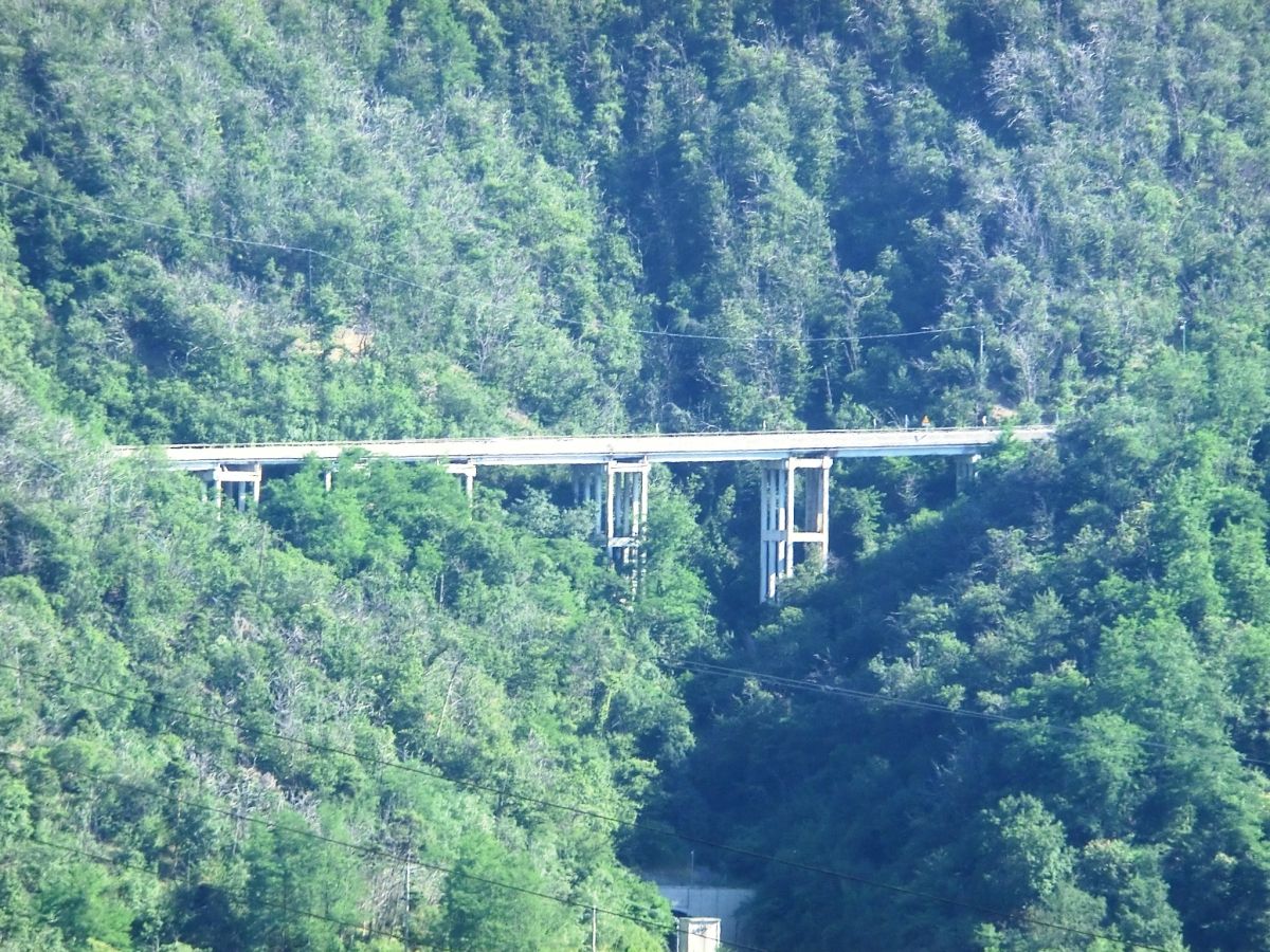Talbrücke Gogole 