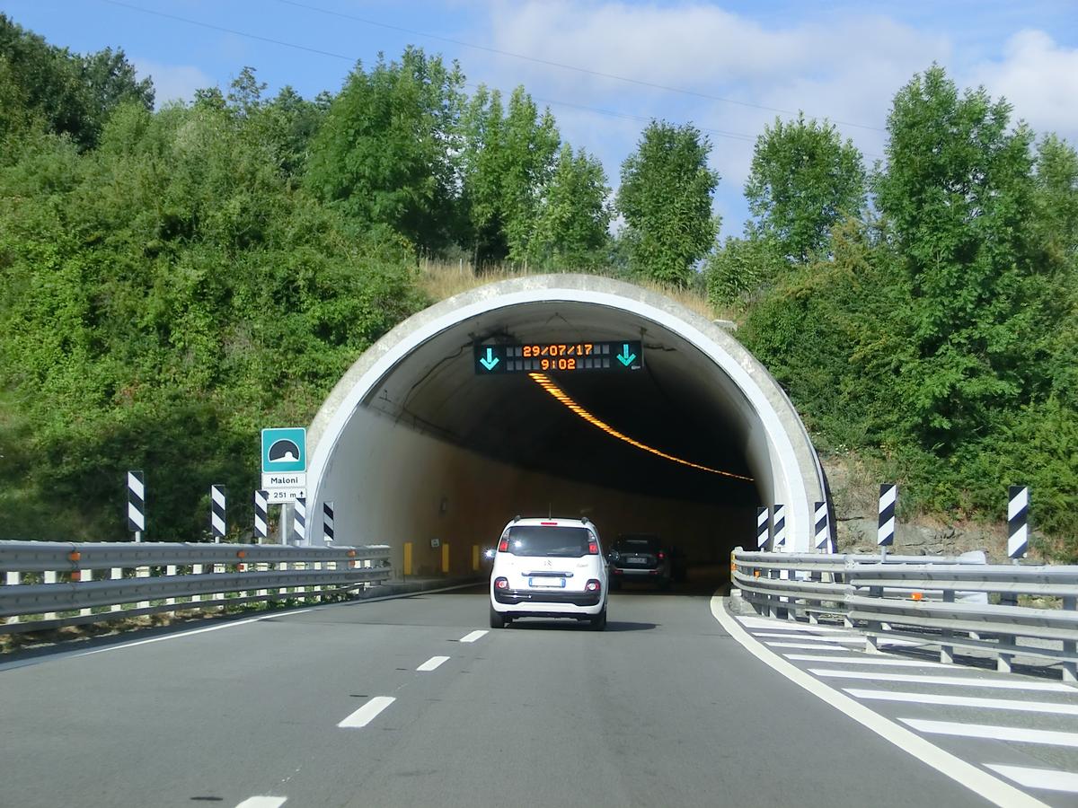 Maloni Tunnel eastern portal 