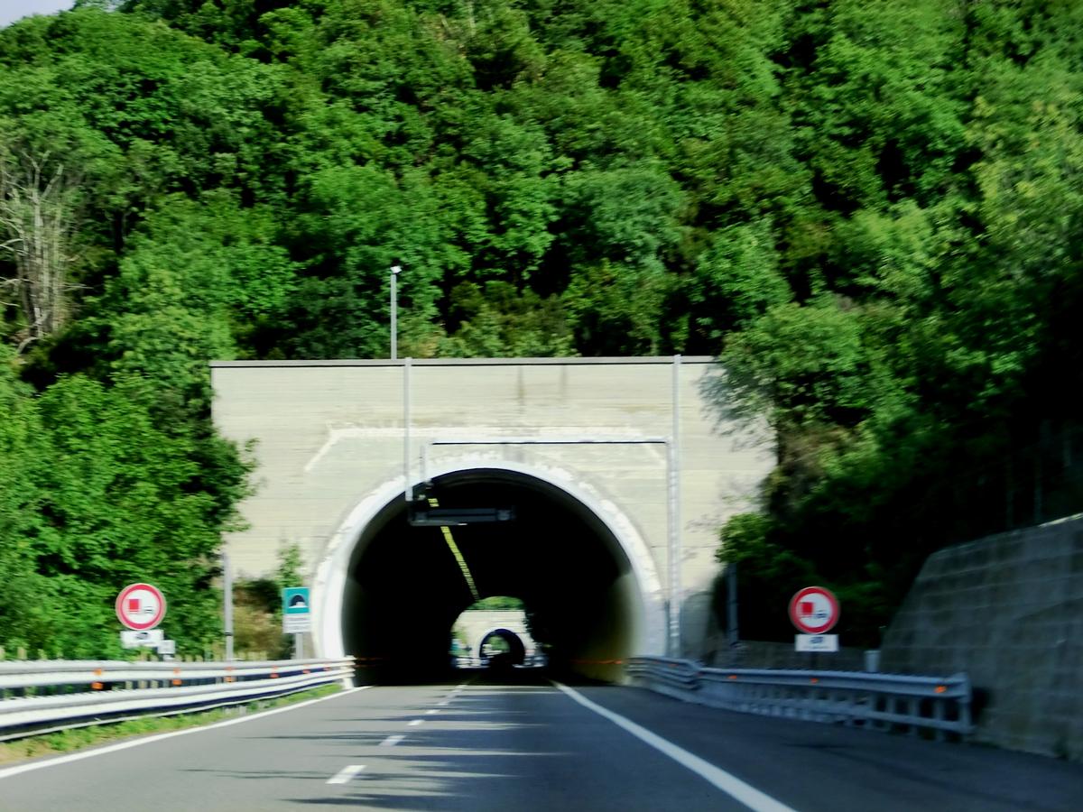 Tunnel Ricchini 
