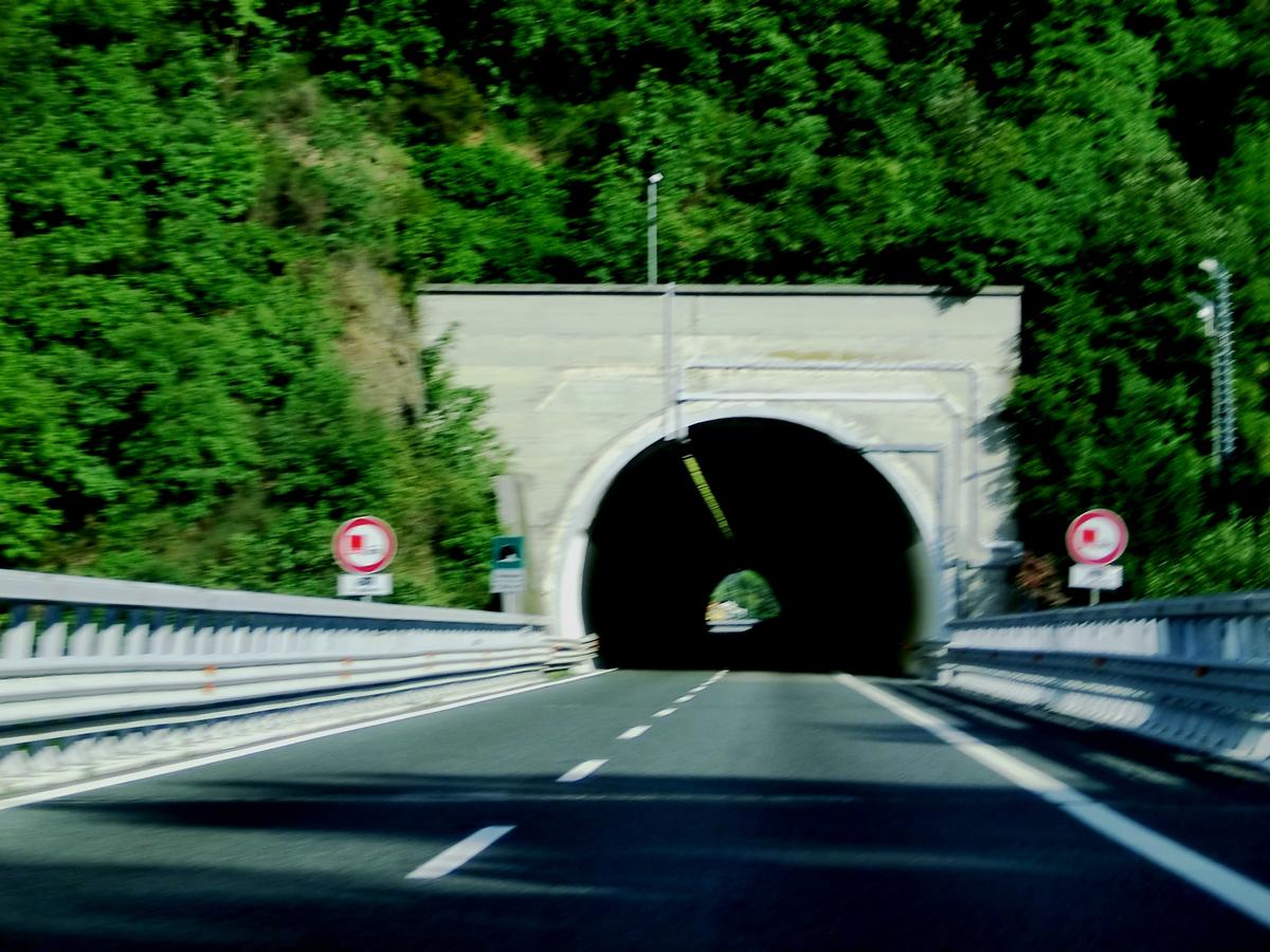 Vaneusa Tunnel southern portal 