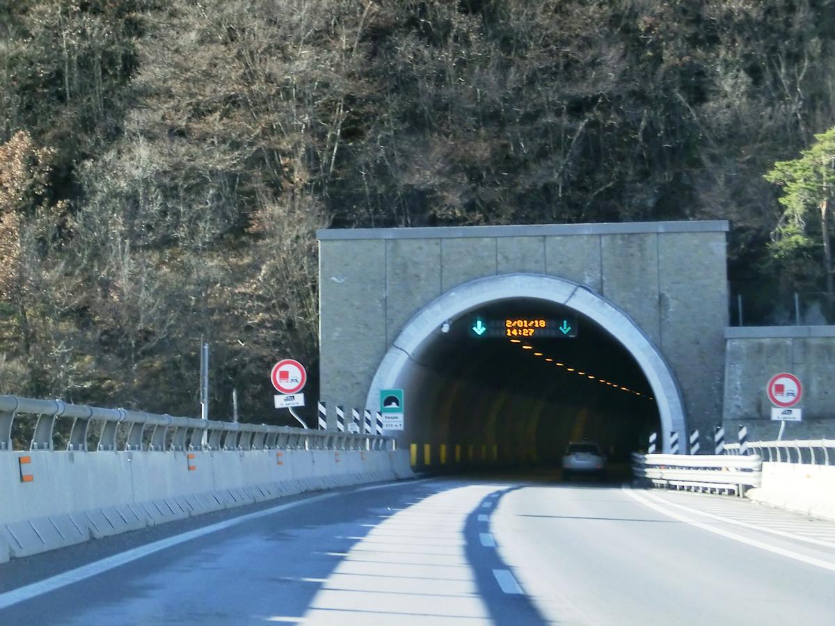 Vespe Tunnel southern portal 
