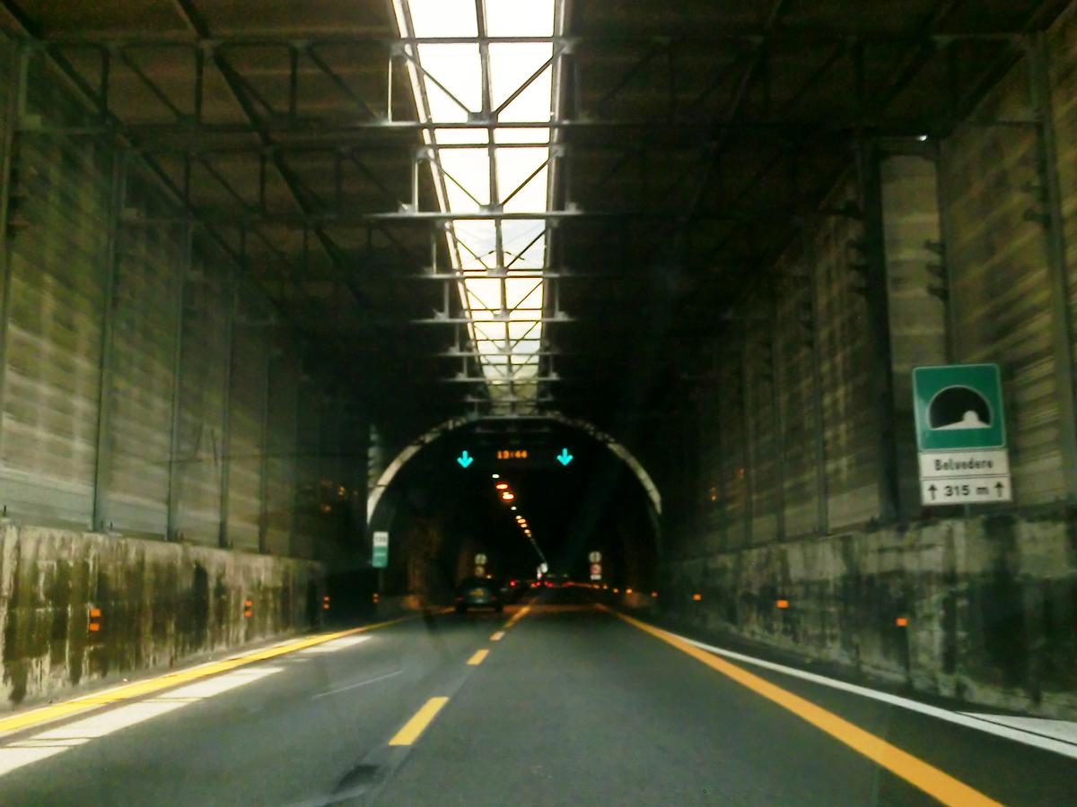 Belvedere Tunnel northern portal 