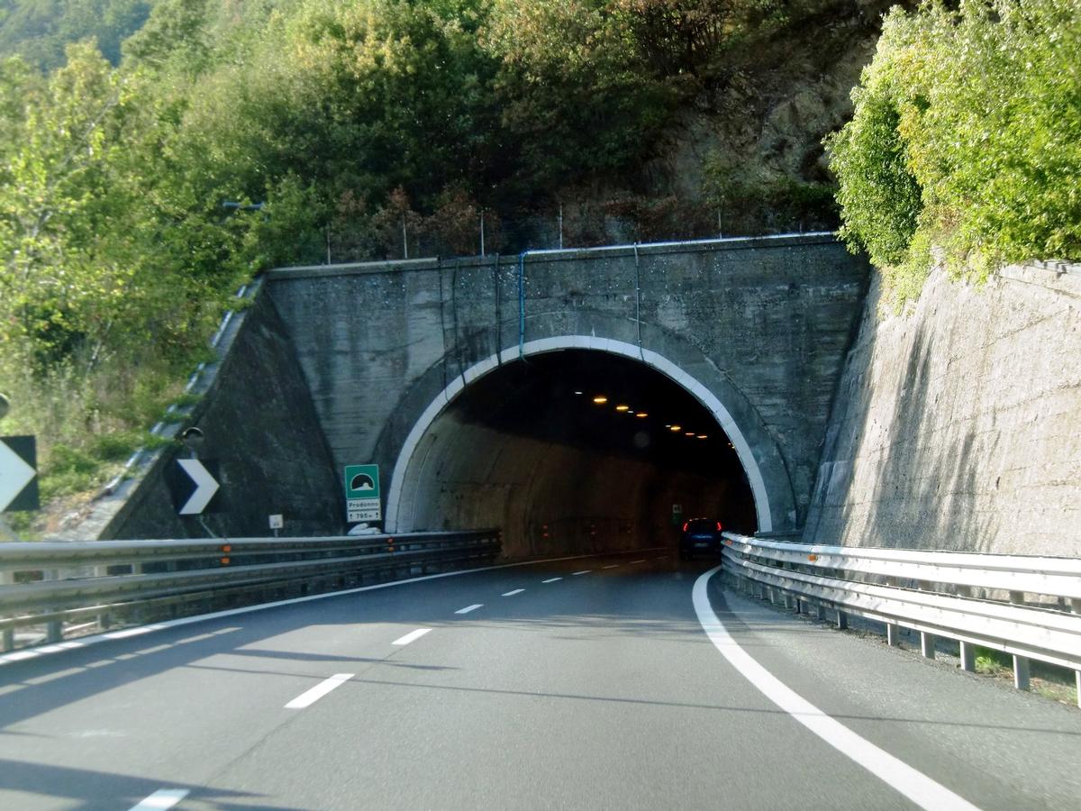 Prodonno Tunnel southern portal 