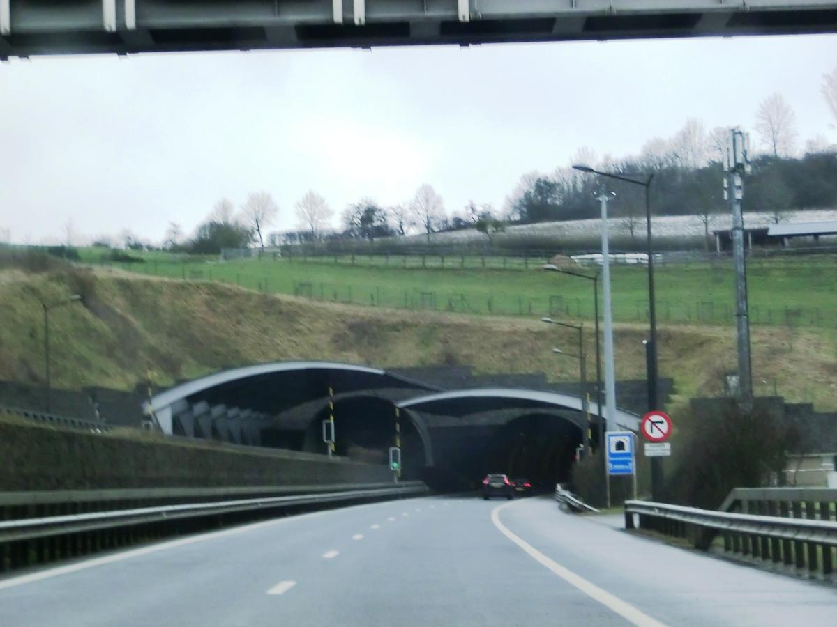 Gousselerbierg Tunnel northern portals 