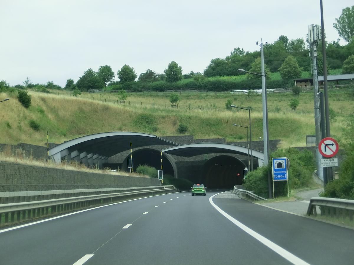 Gousselerbierg Tunnel northern portals 