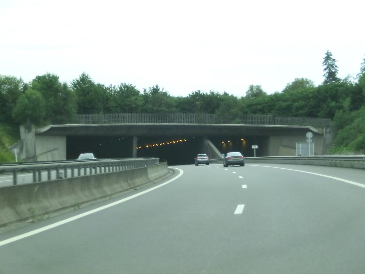 Grünbrücke Roost 
