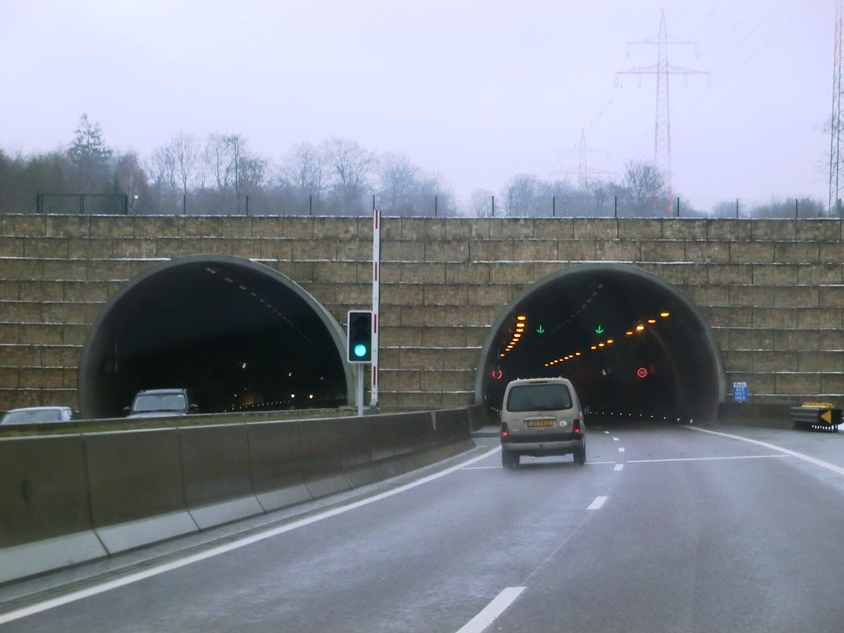 Stafelter Tunnel northern portals 