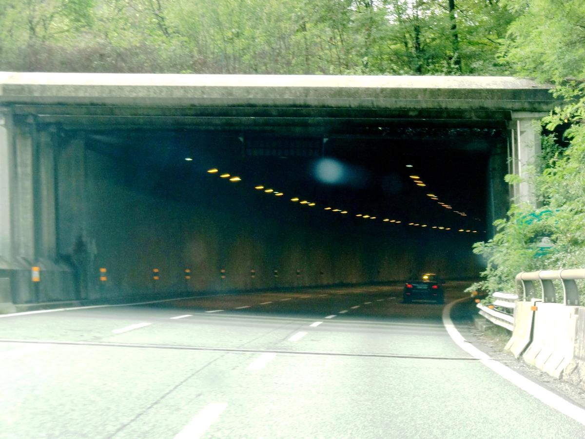Dorbié Tunnel easterm portals 
