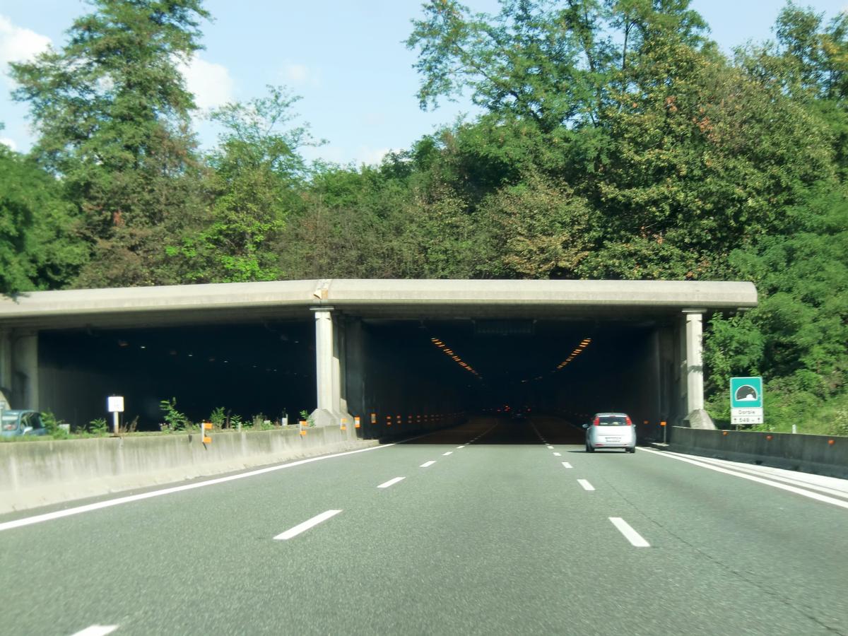 Dorbié Tunnel westerm portals 