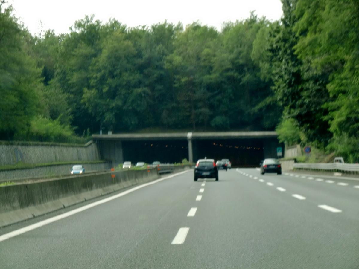 Tunnel Mambrino 