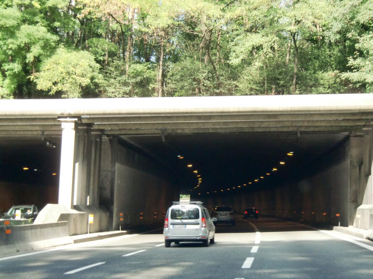 Mambrino Tunnel western portals 