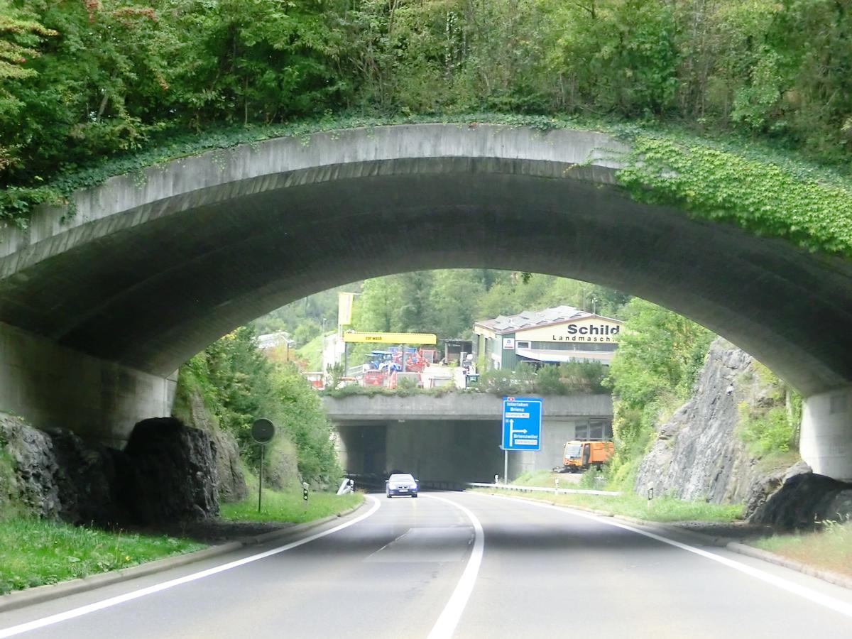 Brienzwiler Wildlife Crossing and, in the back, Muhlefluh Tunnel eastern portals 