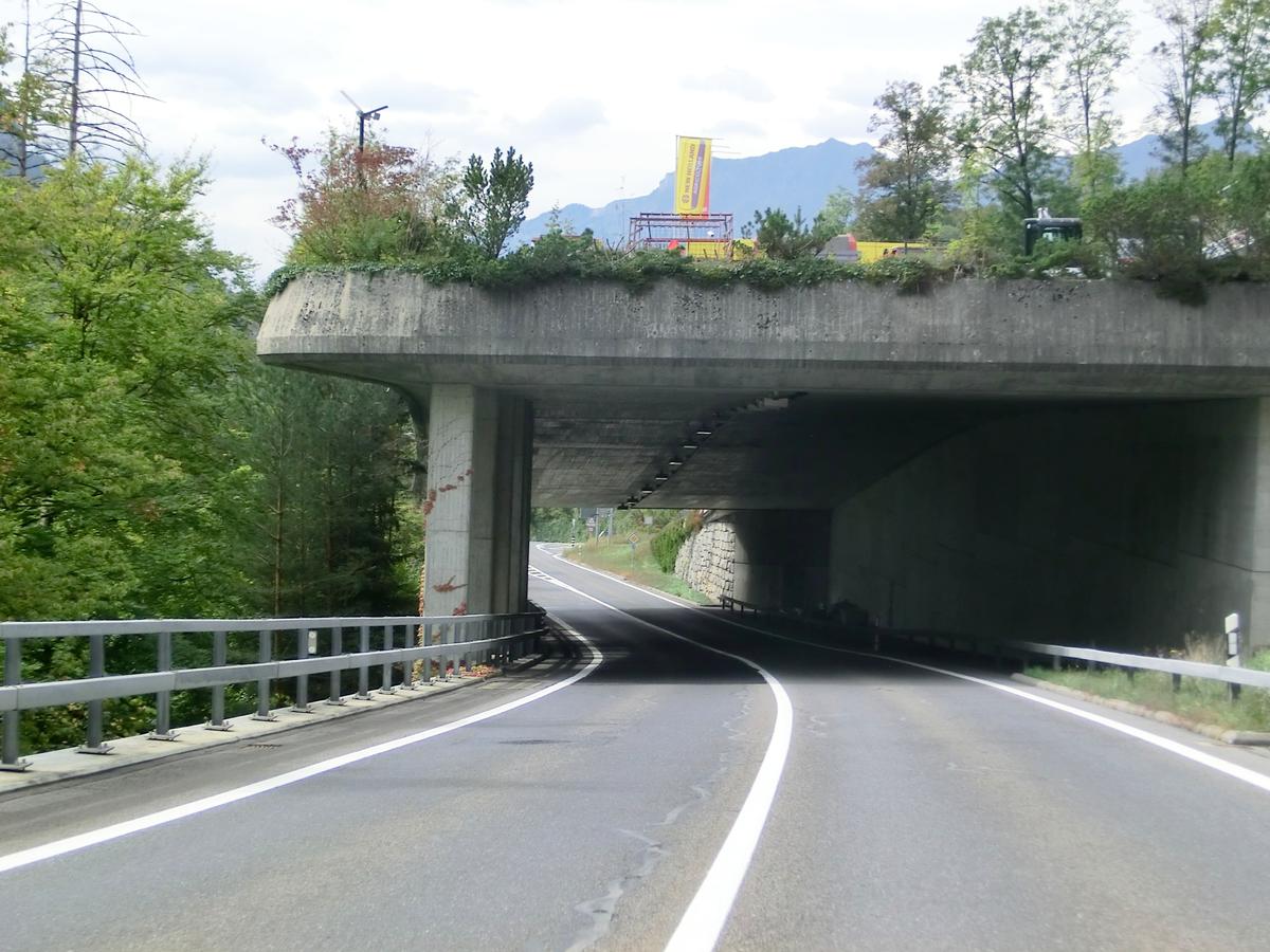 Tunnel de Muhlefluh 