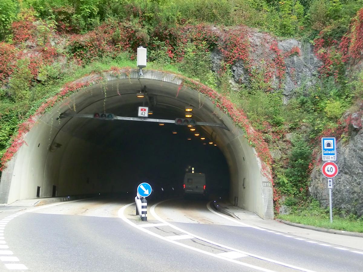 Tunnel de Soliwald 