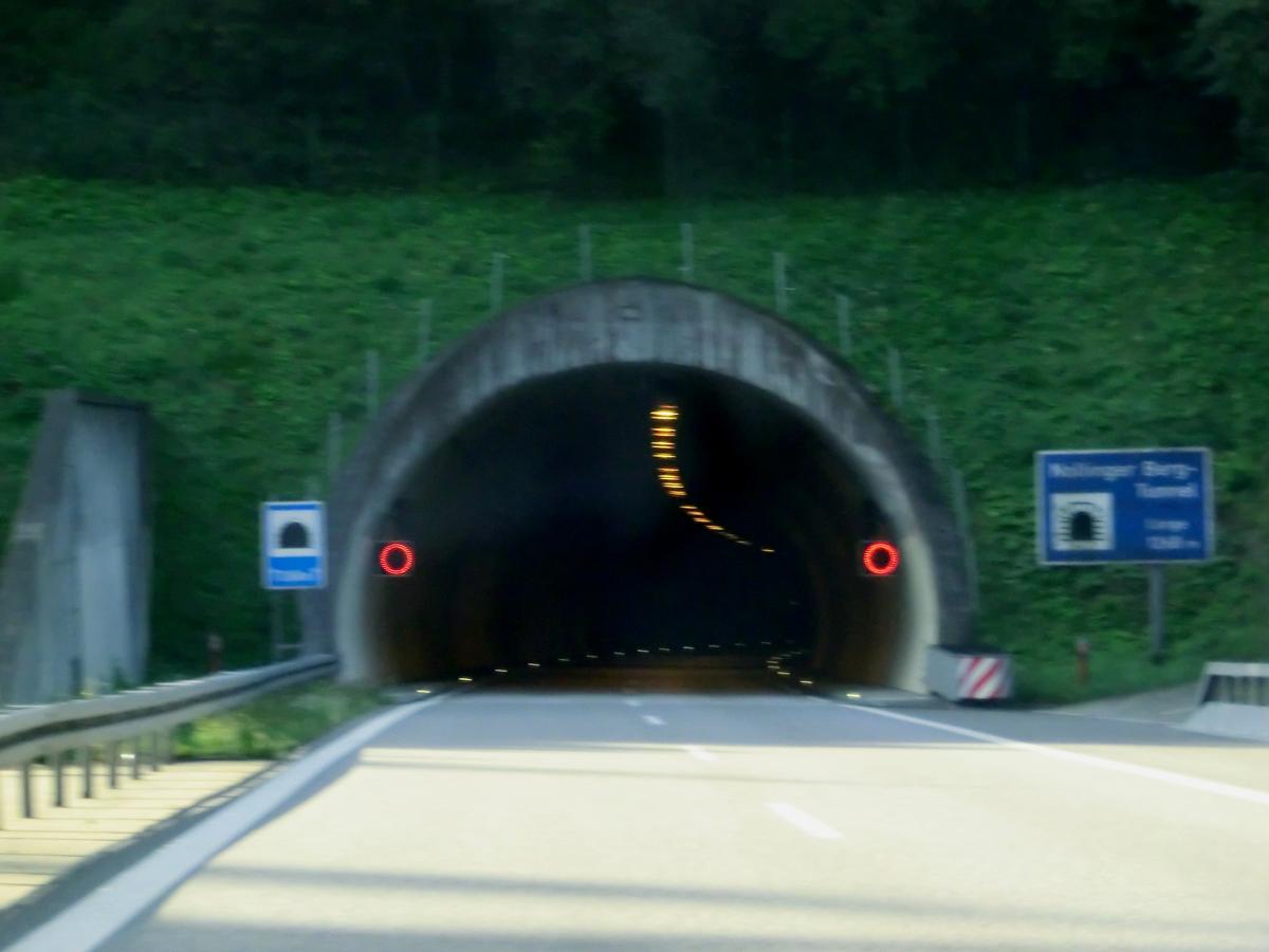 Tunnel Nollinger Berg 