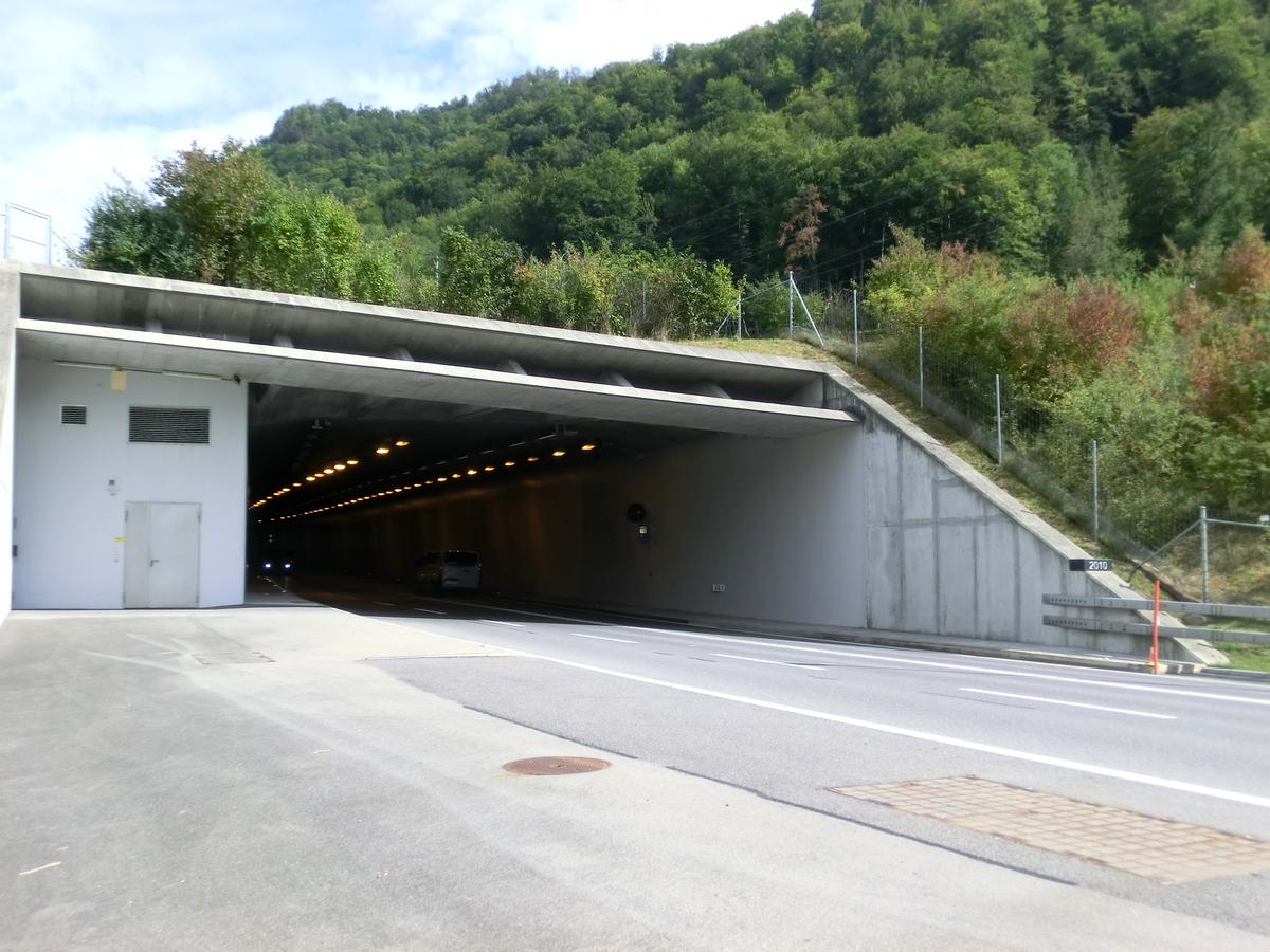 Zollhaus Tunnel southern portal 