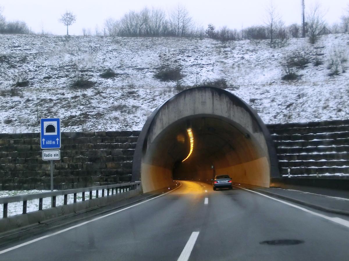 Tunnel Pellinger Berg western portal 