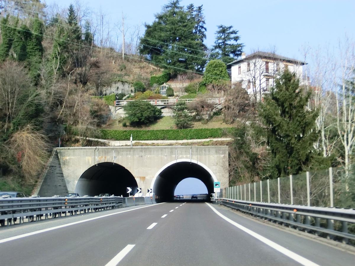 Villa Maria Tunnel southern portals 