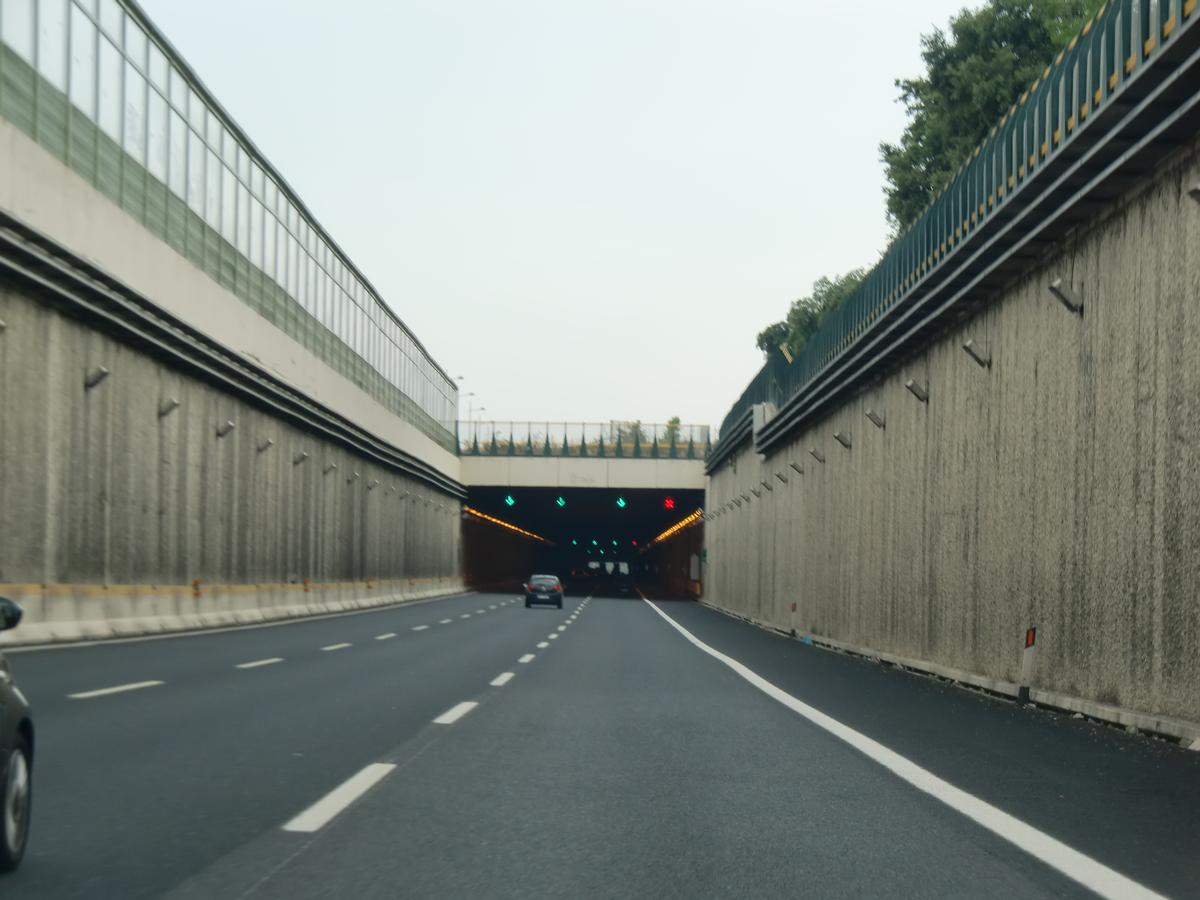 Selva Candida Tunnel 