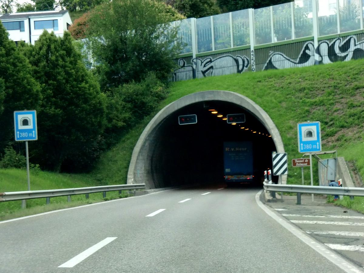 Tunnel de Belmont 