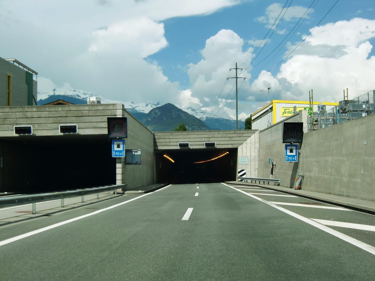Champsec Tunnel western portals 