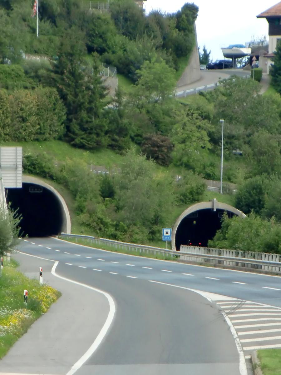 Chauderon Tunnel northern portals 