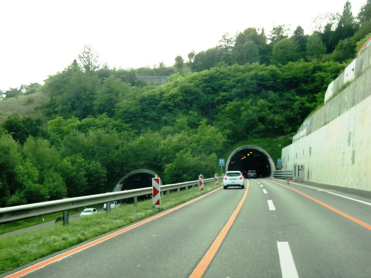 Chauderon Tunnel southern portals 
