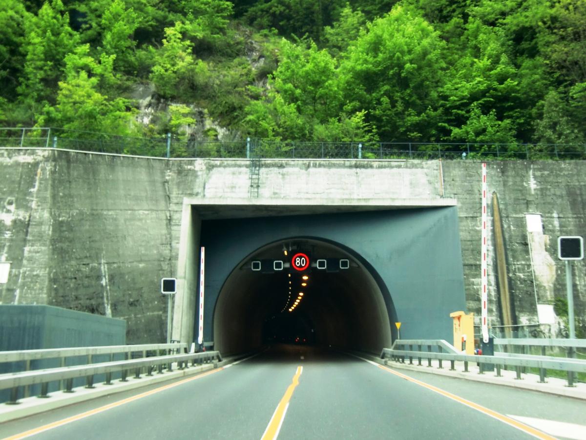 Glion Tunnel southern portal 