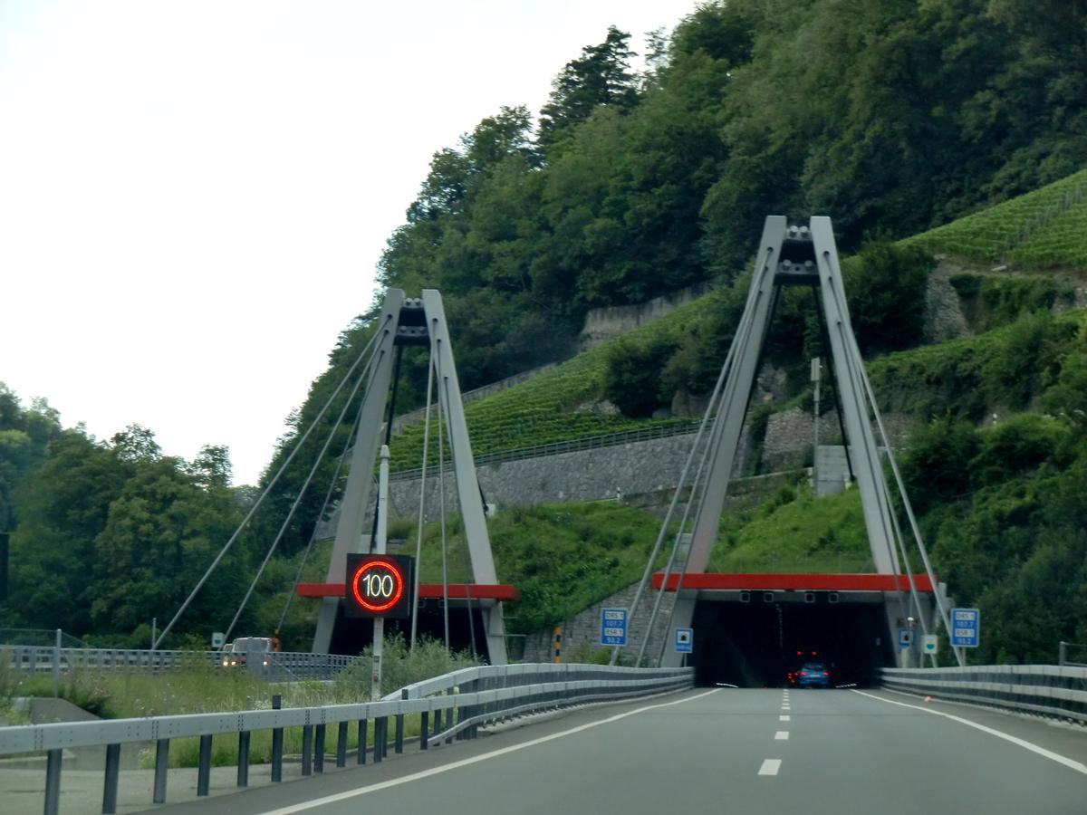 Arzillier Tunnel southern portal and Saint Maurice cable stayed bridge 