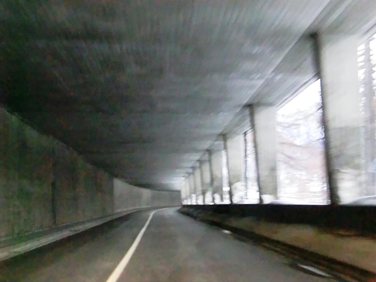 Engi Tunnel 