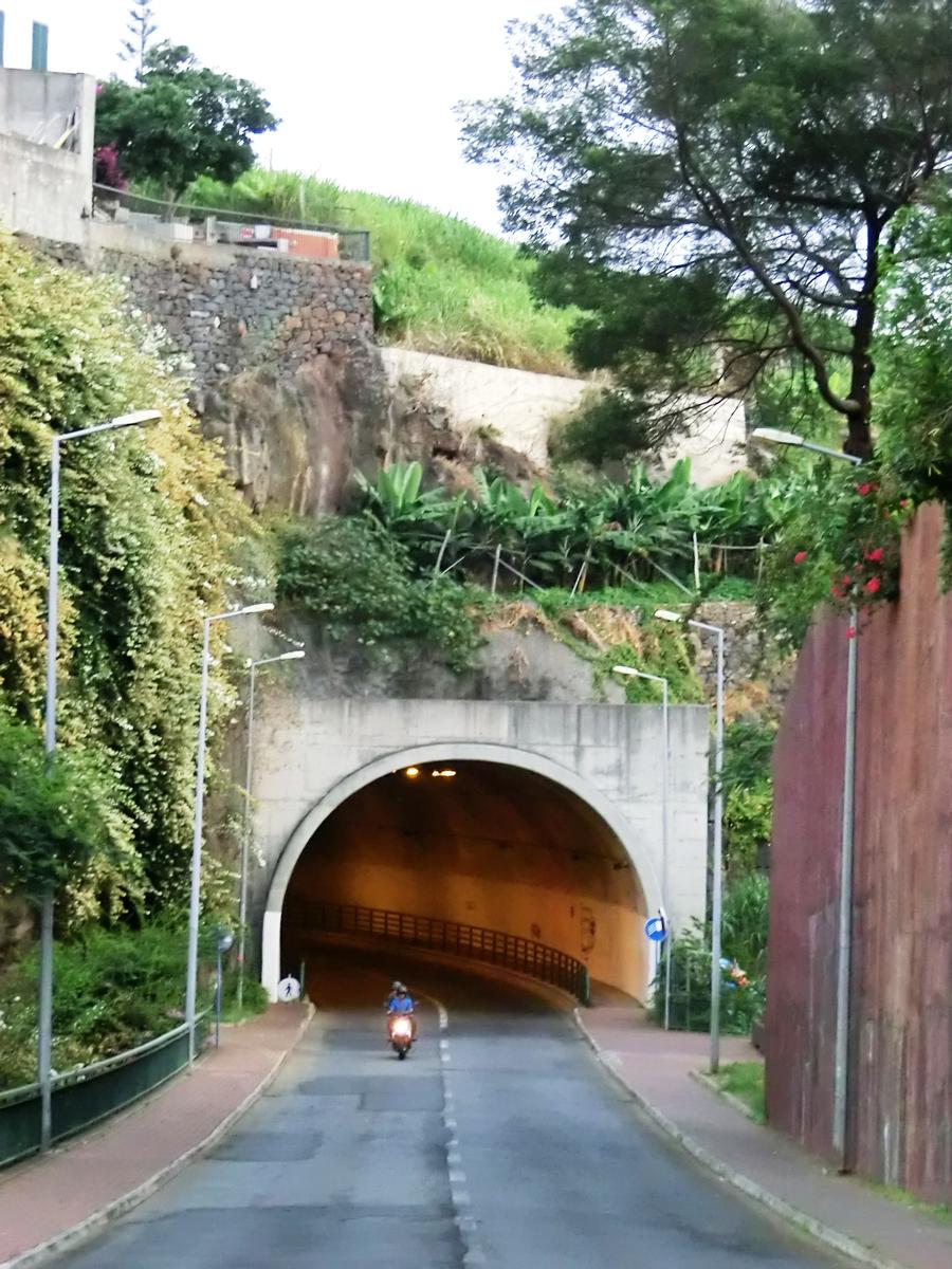 Avenida da Autonomia Tunnel western portal 
