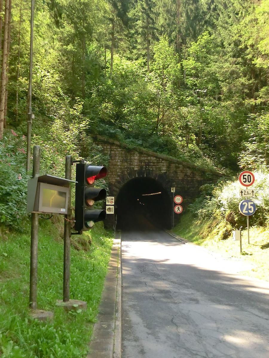 Harpfnerwandtunnel southern portal 
