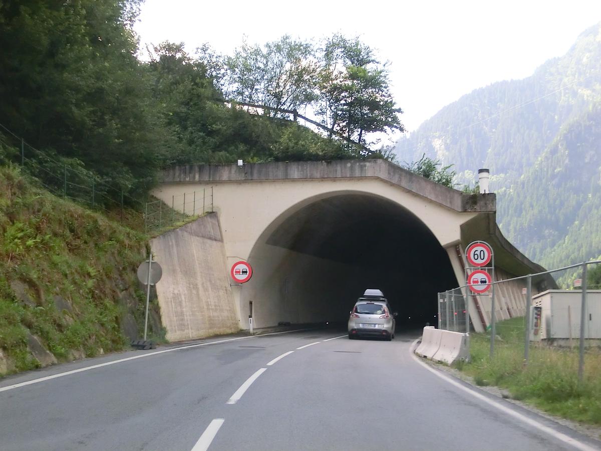 Dristenschlag-Melkstein Tunnel southern portal 