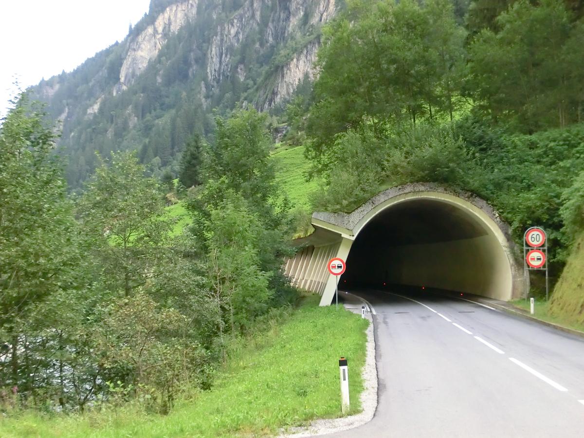 Saustein Tunnel northern portal 