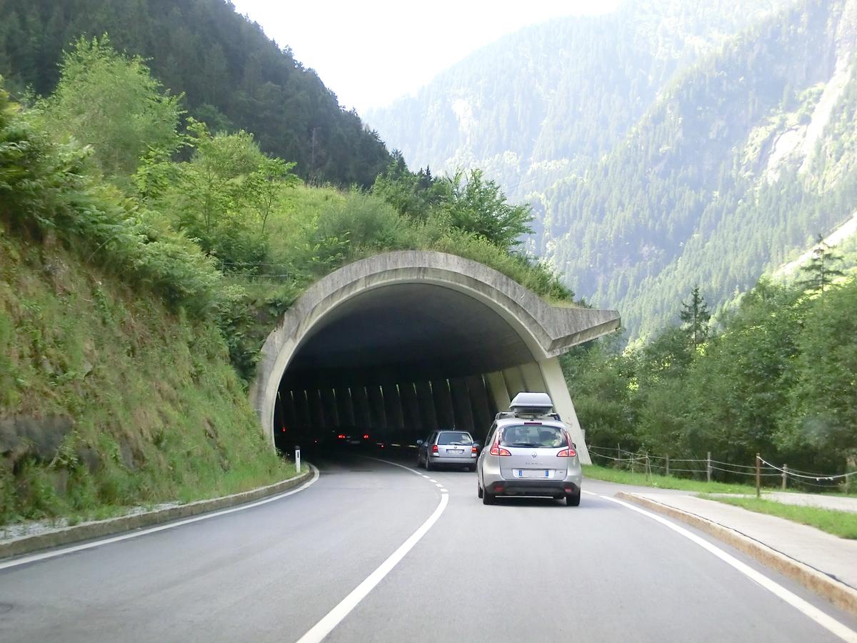 Saustein Tunnel southern portal 