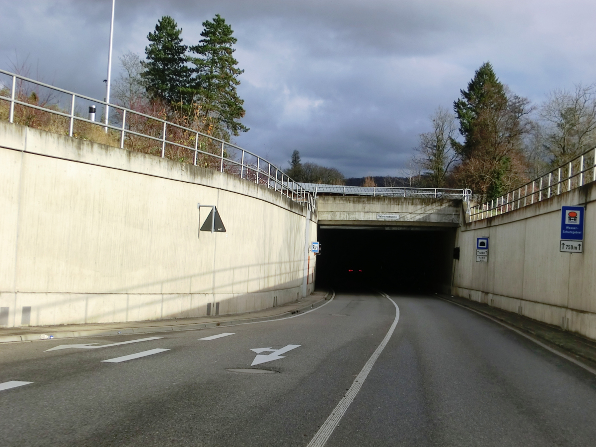 Wiesen Tunnel western portal 