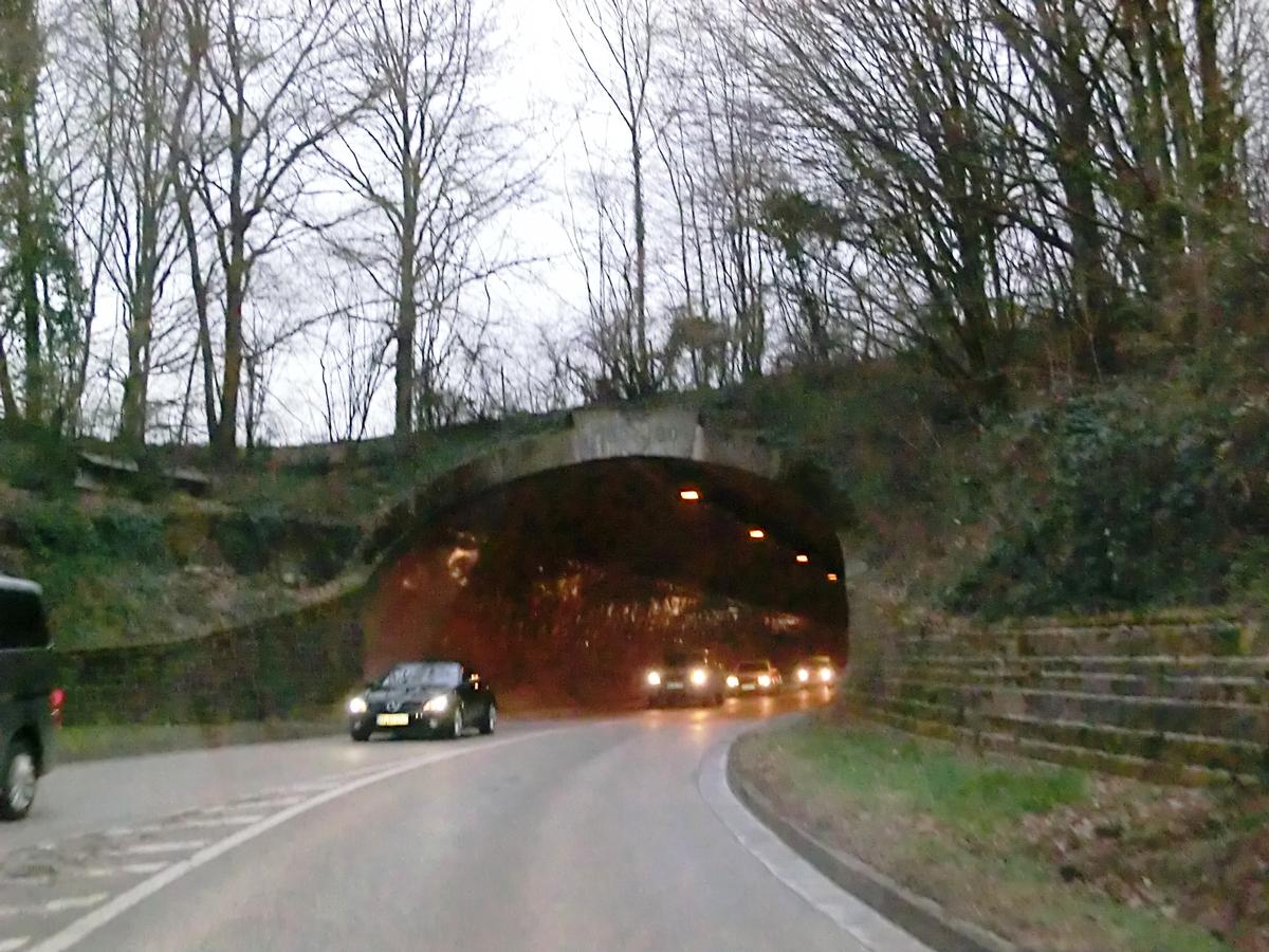 Schlossberg Tunnel eastern portal 